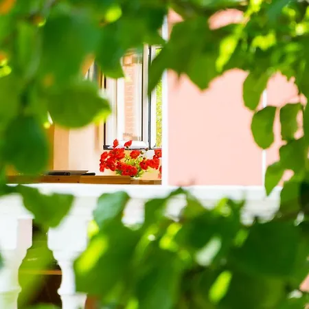 Appartement 2 Bed House With Mountain View